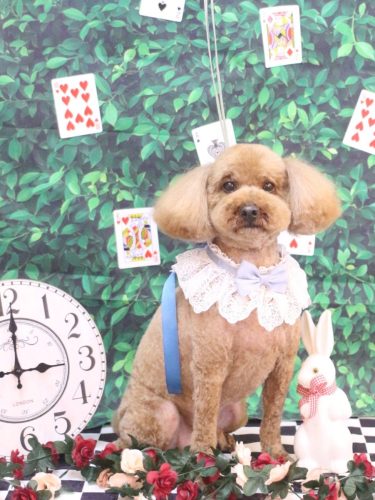 20250416ぷぅくん